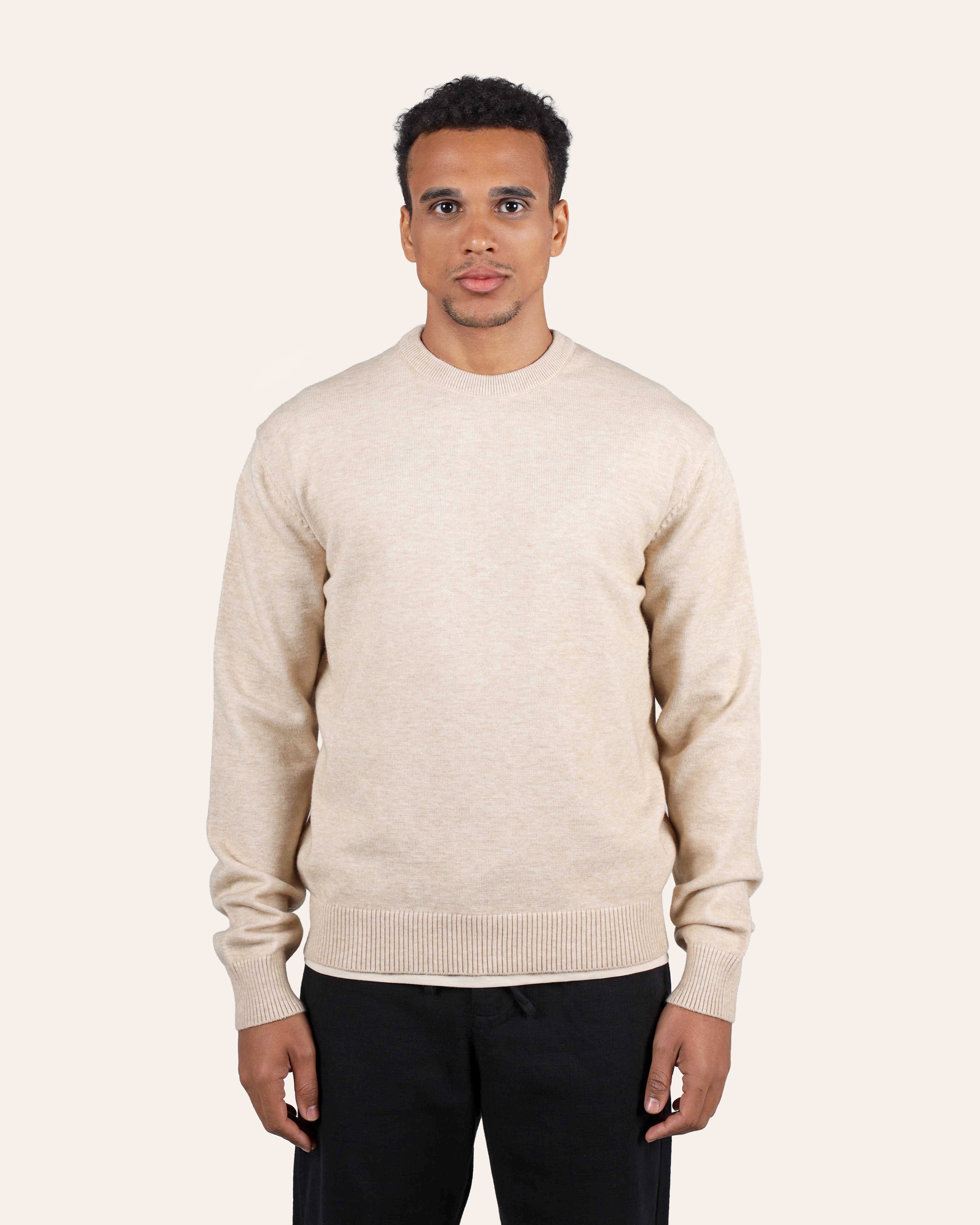 Wool Knitted Sweater - Beige